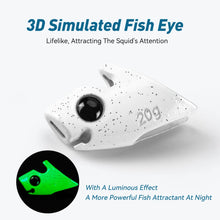 Load image into Gallery viewer, Squid Jig Sinker Fishing Tackle 7g 10g 15g 20g Sinking Luminous 2pc
